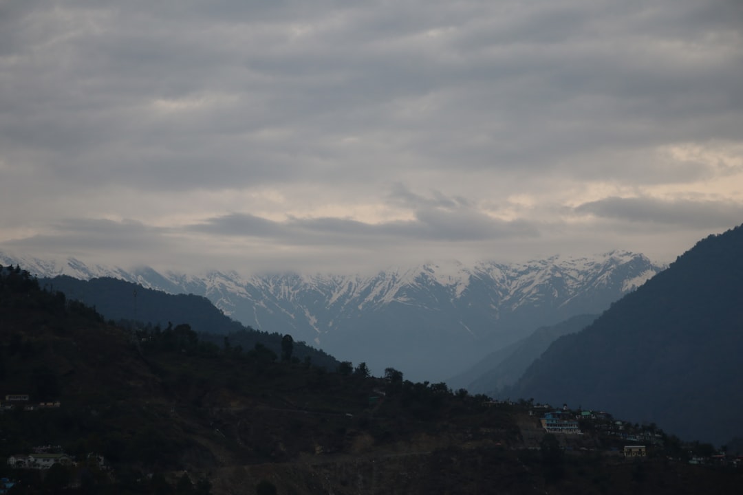 ИИ как инструмент нарушения интеллектуальных прав